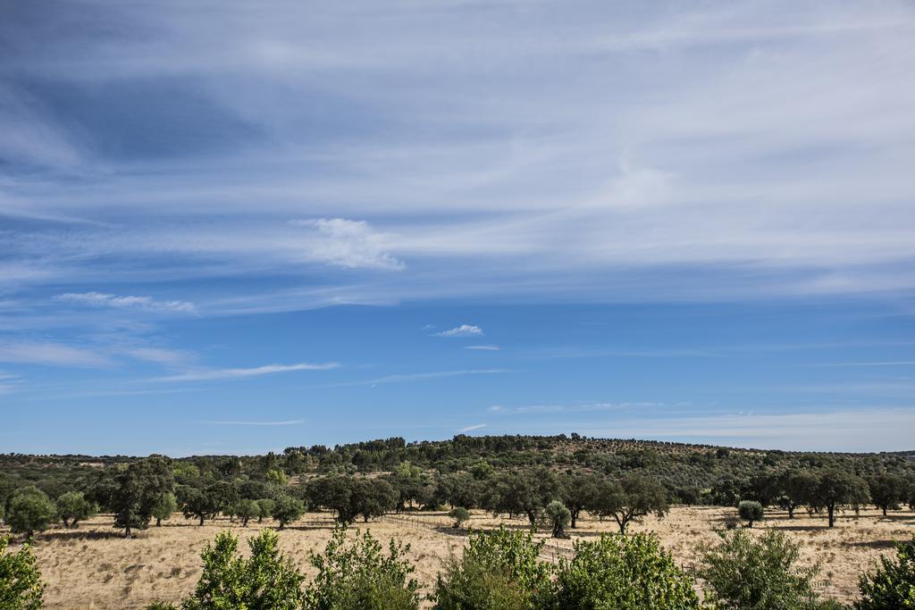 Herdade Dos Alfanges "The Barn" เวียนา ดู อเลนเตโฆ ภายนอก รูปภาพ